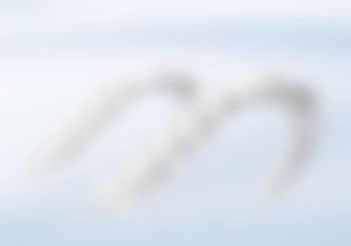 西安兔博士口腔(咸宁路)的正规资质