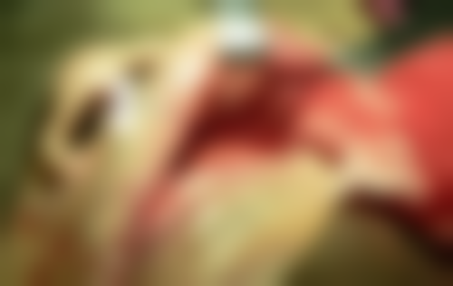 福州仓山咏年白马口腔门诊部的基本信息