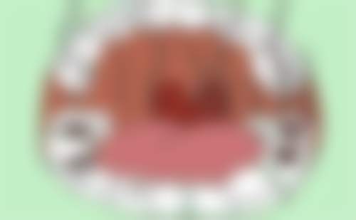 柳州喜天丽口腔来院路线