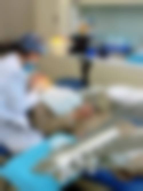 郑巩的学术积累与从业资历