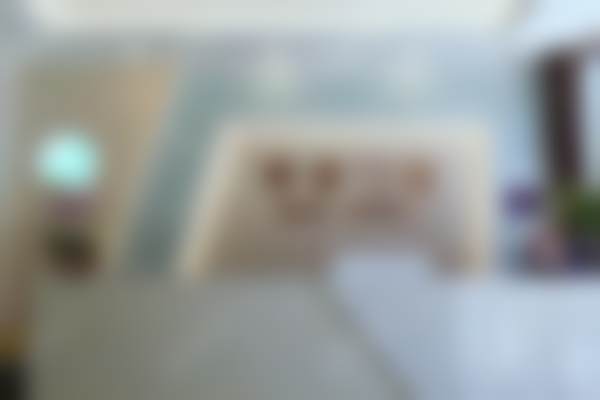 王蕃的学术积累与从业资历