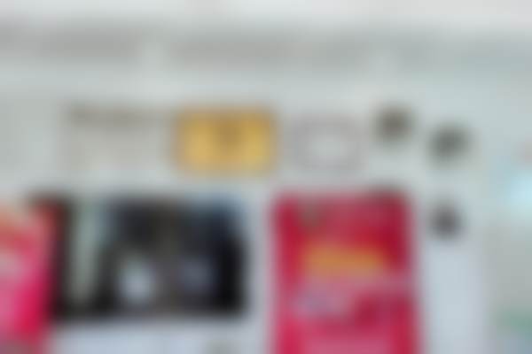 王蕃的学术积累与从业资历