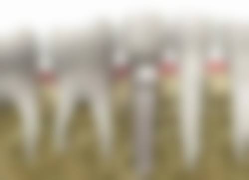 山东威海韩涛口腔的技术优势