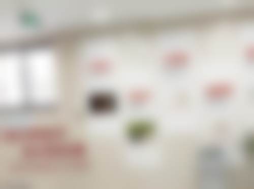 黄山牙博士口腔门诊部（百大机构）来院路线