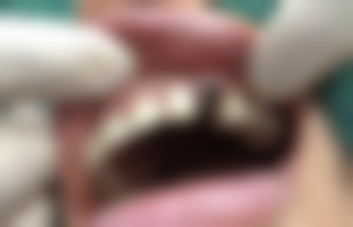 壹加壹口腔医院坐诊与来院指引