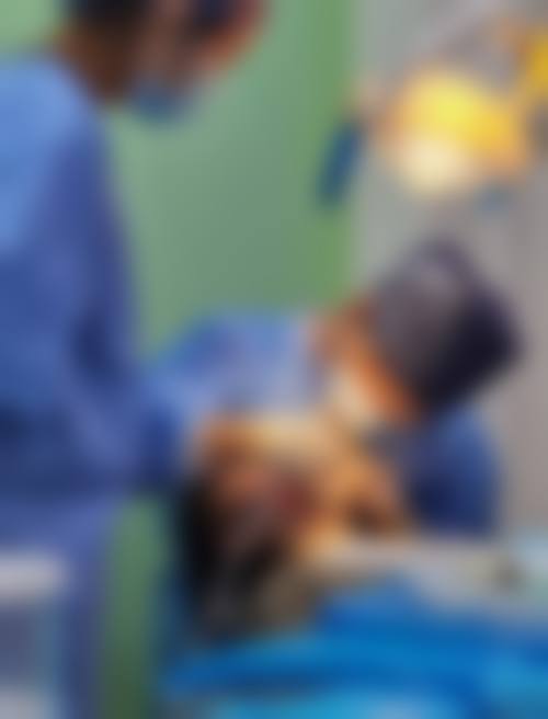 深圳齐白口腔基本信息