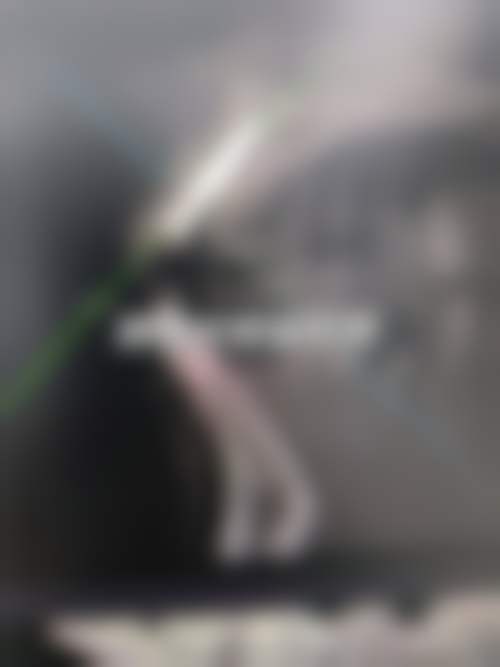 深圳润发口腔的基本信息