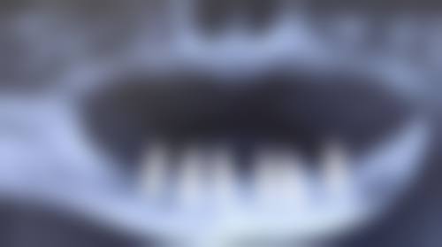 文兆祥的学术积累与从业资历