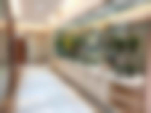 王龙河的价格与坐诊