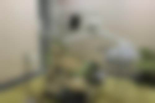 涂序椿的诊疗标准与服务细节