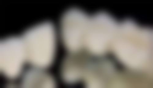 苏欣欣的价格与坐诊