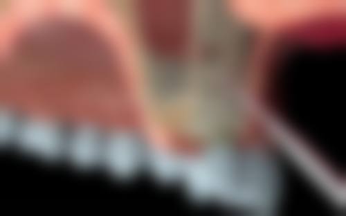 王一鸣的学术积累与从业资历