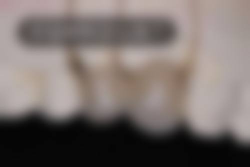 许海磊的价格与坐诊