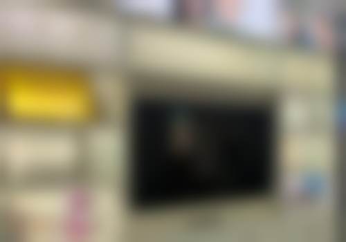 张仕良的学术积累与从业资历