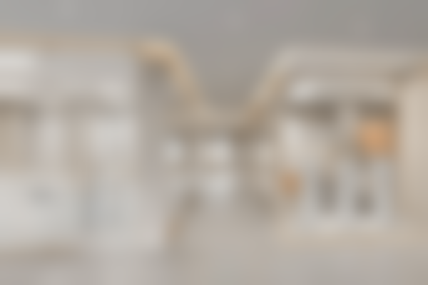 成都郫都一牙桔子口腔门诊部基本信息