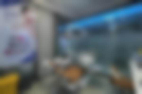 南宁诺贝尔口腔门诊部（北湖店）的来院指引