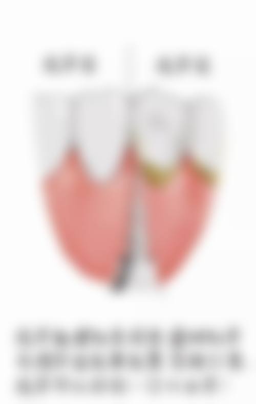 石家庄循力源口腔门诊部（空中花园店）的价格收费