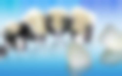 深圳五园口腔门诊部来院指引