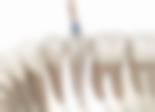 重庆綦江万盛张莉莉口腔诊所医生团队实力