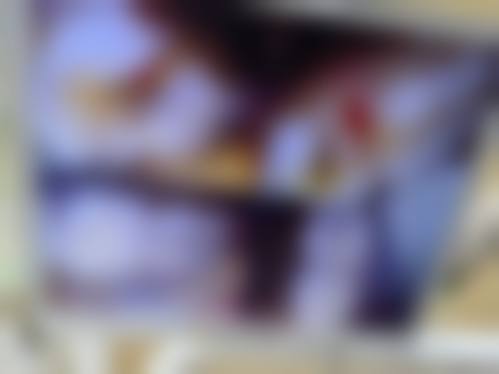 郭佳的学术积累与从业资历