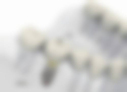 董晶的学术积累与从业资历