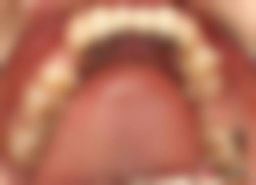 杨素的学术积累与从业资历