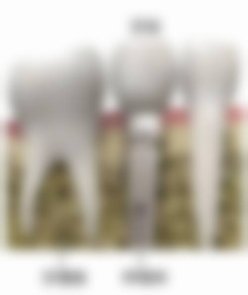 惠州正心口腔(东平店)的精良设备与特色技术