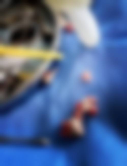 广东广州暨穗正合口腔收费标准