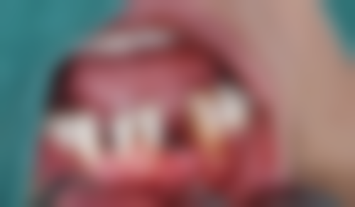 沈俊波的学术积累与从业资历