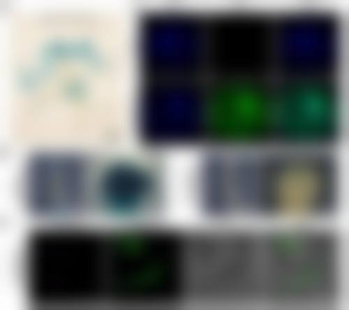 江苏苏州昆山王波口腔患者真实评价