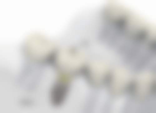 毕节云上惠诚口腔正规执业资质