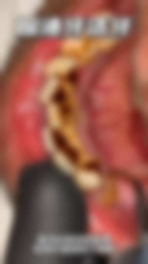 长沙循力源口腔(梅溪湖店)服务总结