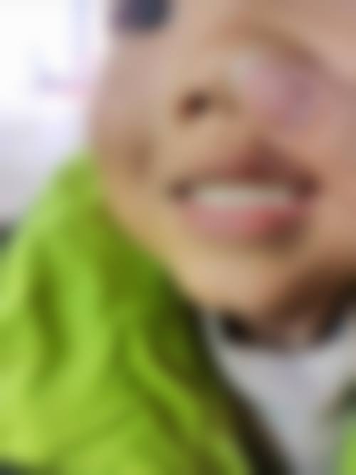 谭军的学术积累与从业资历