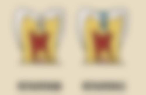 袁永刚的学术积累与从业资历