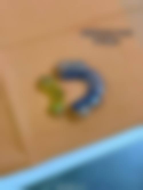 谭军的学术积累与诊疗把控