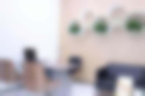 叶平的学术积累与从业资历