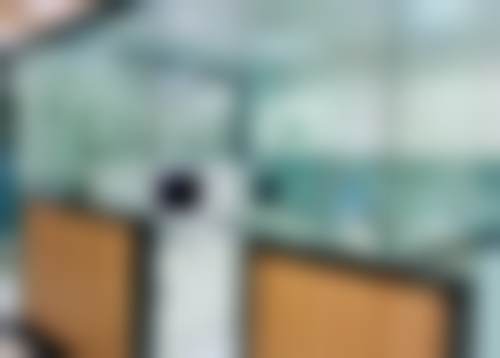 孝感云梦咿呀茂源口腔城西门诊部正规资质说明