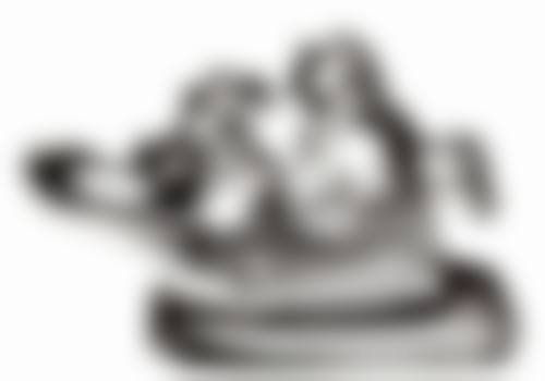 福建晶特尔口腔（五四店）来院指引