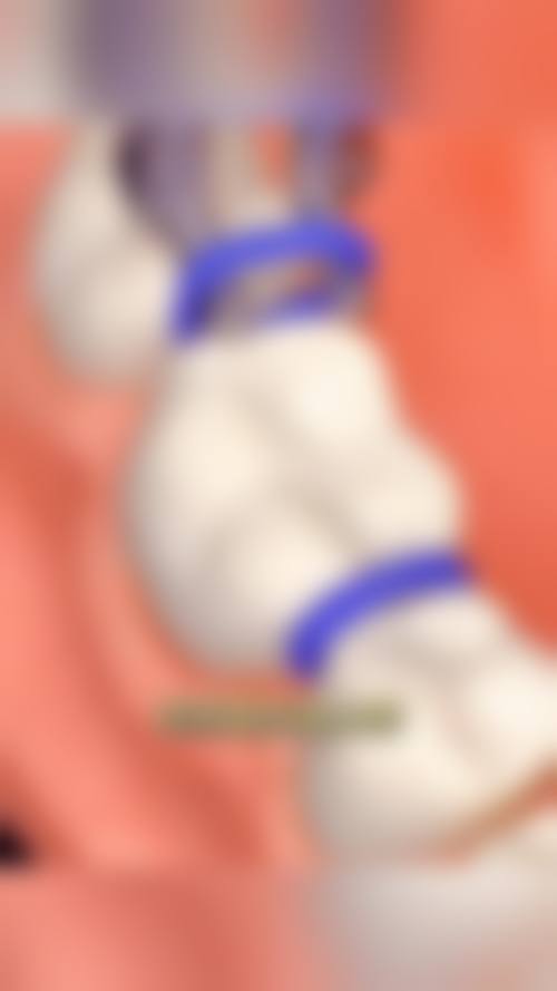 刘荣坤的学术积累与从业资历