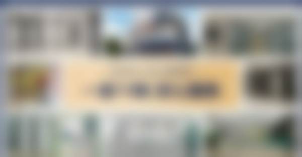 杨美辰的学术积累与从业资历