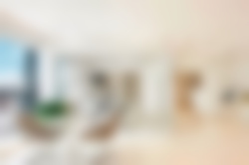 肖新的学术积累与从业资历