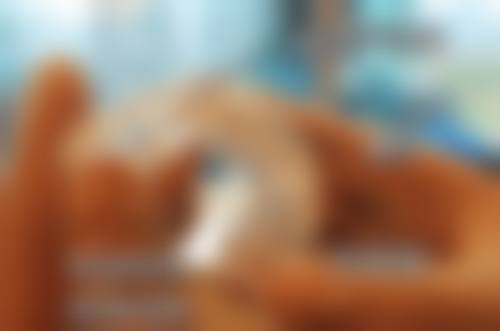 清远源镁联合口腔门诊部来院指引