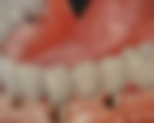 段小琪的学术积累与质控把控