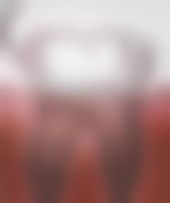 刘宏平的学术积累与从业资历