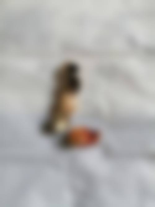 李晓茜的学术积累与从业资历