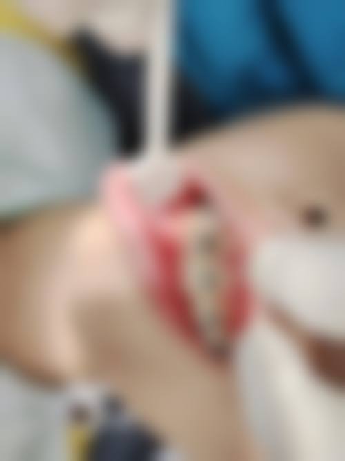 邵金龙的诊疗价格与就诊指引