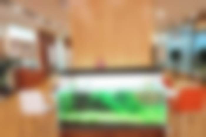 万柏林区太原维乐口腔医院核心优势