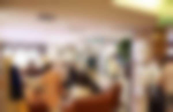 刘苏莹的学术积累与从业资历