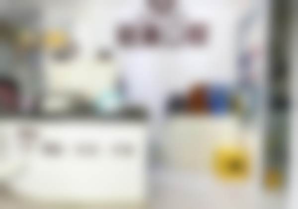 刘苏莹的学术积累与从业资历