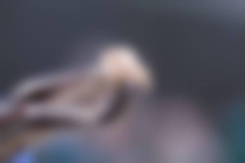九江奇圣口腔（濂溪区十里总院）收费标准
